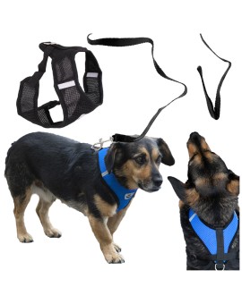 Szelki bezuciskowe spacerowe regulowane odblask dla psa kota + smycz rozmiar XL