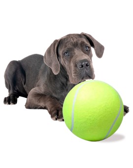 Zabawka dla psa piłka tenisowa gigant XXL 24cm Kik Sp. z o. o. Sp. k. | Time- 2