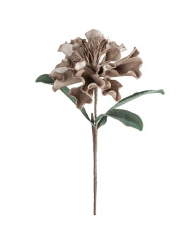 Kwiat Flore 873 Ciemnobeżowy