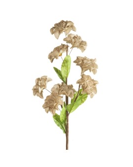 Kwiat Flore 865 Ciemnobeżowy