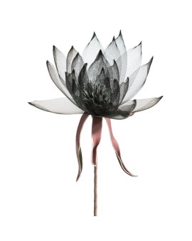 Kwiat Organza 2 Czarny