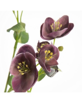 Sztuczny kwiat do salonu Eurofirany | Time- 2