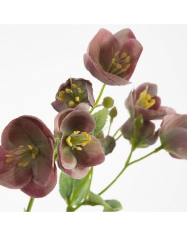 Sztuczny kwiat do salonu Eurofirany | Time- 2