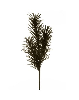 Kwiat Flore 767 100 Cm Czarny
