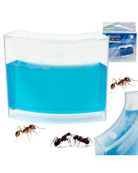 Akwarium edukacyjne żelowe dla mrówek