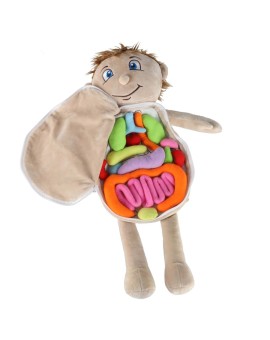 Lalka maskotka nauka anatomii chłopiec Kik Sp. z o. o. Sp. k. | Time- 2