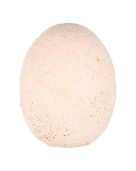 Dinozaury wykopaliska jajko dinozaura 12 figurek zestaw archeologiczny Kik Sp. z o. o. Sp. k. | Time- 2