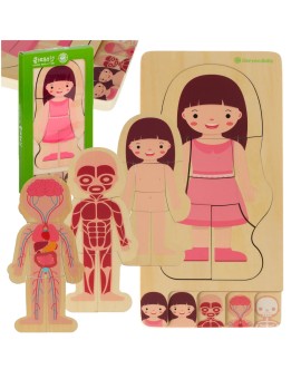 Puzzle drewniane warstwowe budowa ciała montessori dziewczynka