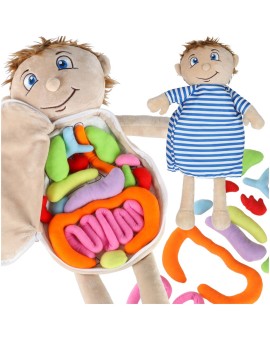 Lalka maskotka nauka anatomii chłopiec